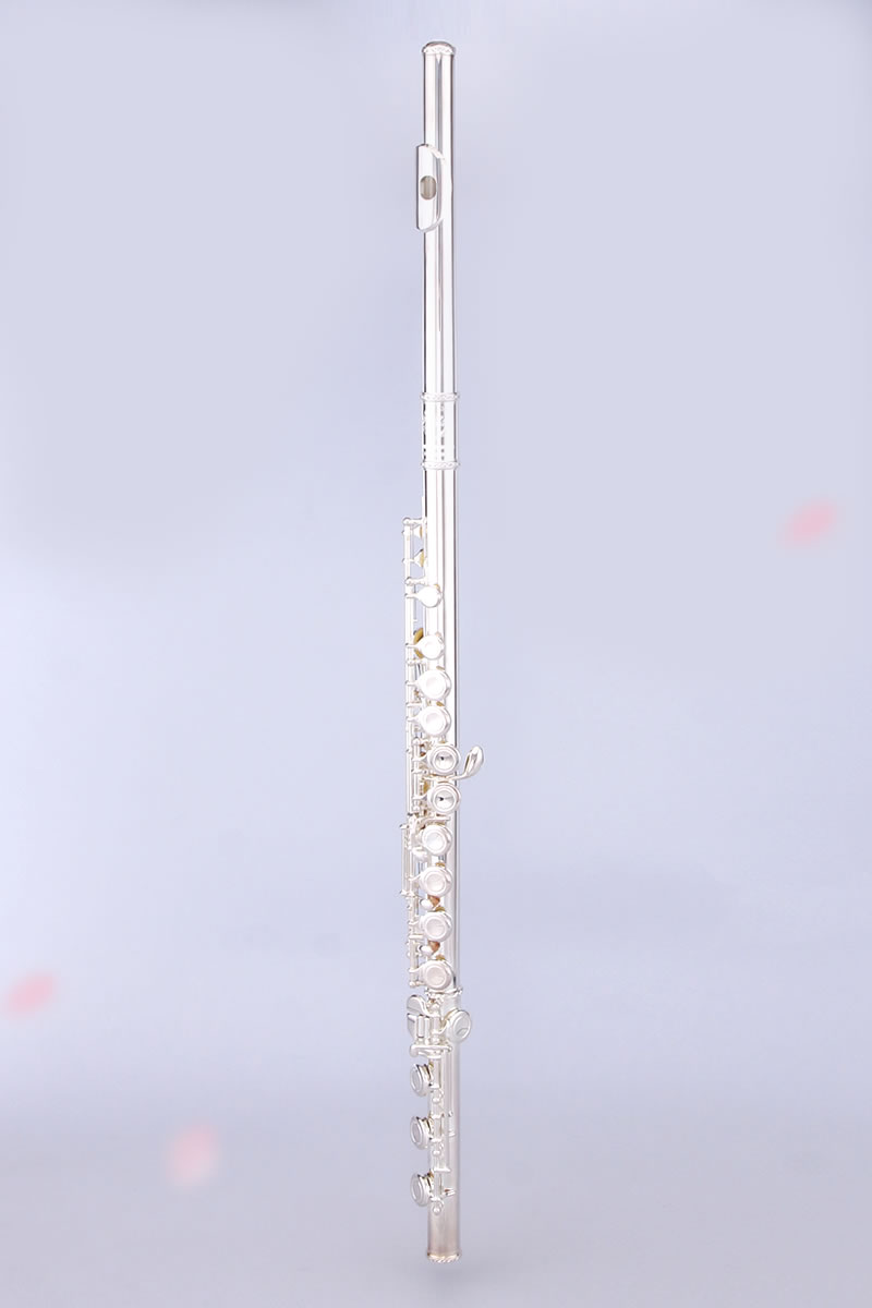 17-hole closed flute